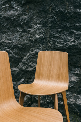Lottus Wood
