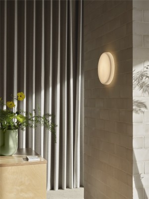 Looped Wall/Ceiling Lamp