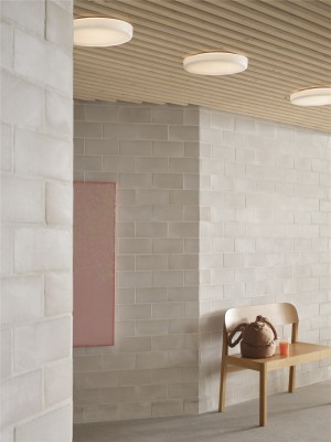 Looped Wall/Ceiling Lamp