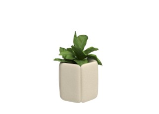 BuzziChicle Planter