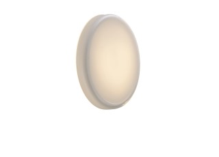 Looped Wall/Ceiling Lamp