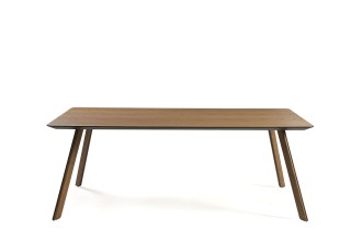 Tortuga (dining table)