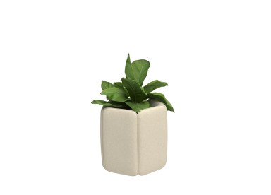BuzziChicle Planter