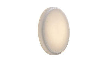 Looped Wall/Ceiling Lamp